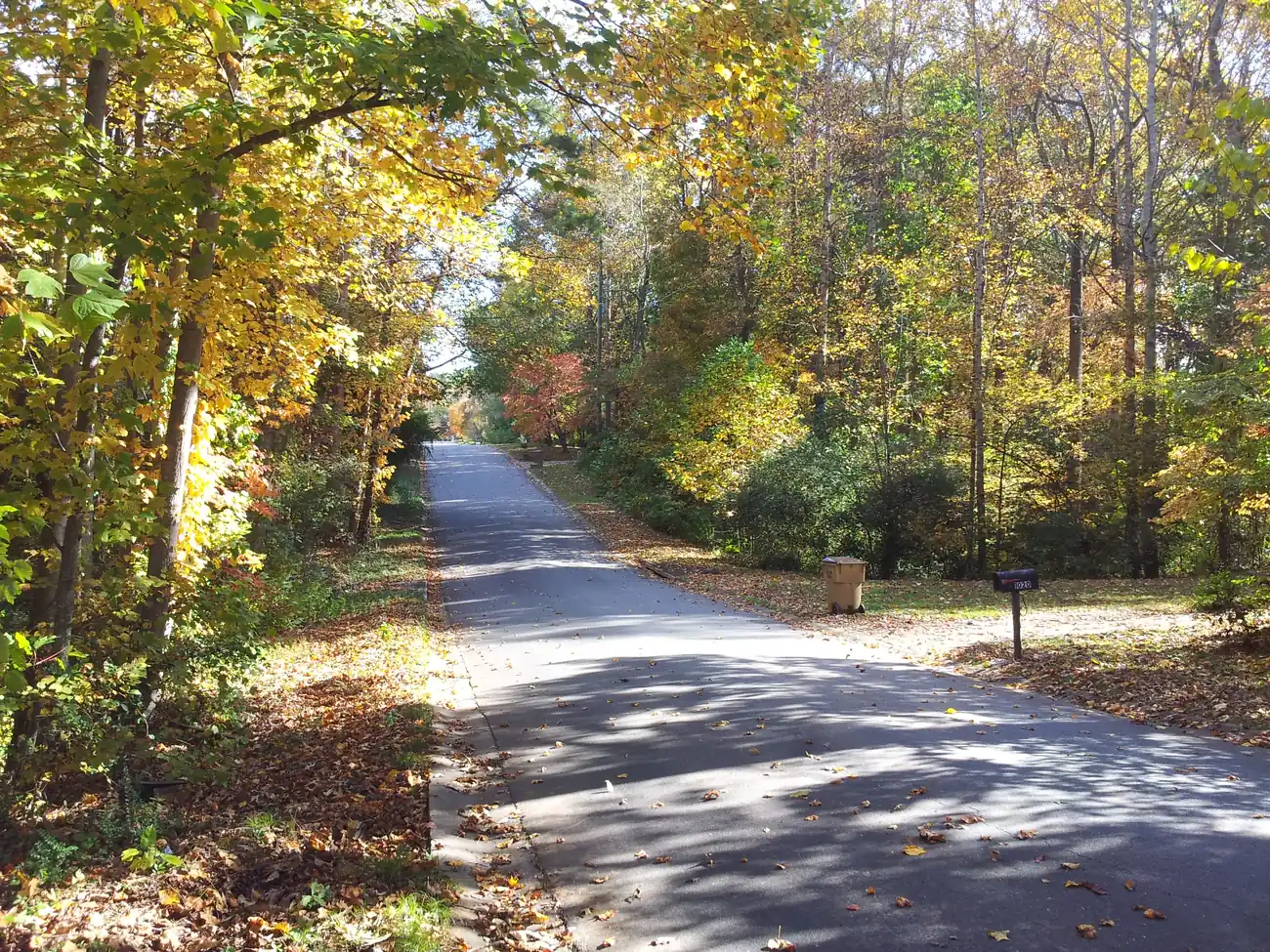 Fall color along a paved path in the Kings Ridge Estates neighborhood of Woodstock